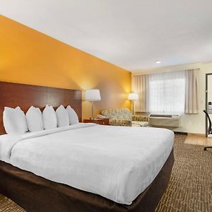 King Room Disability Access